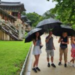 10 Days Essential Korea Tour(Seoul, Nami, DMZ, Andong, Gyeongju, Busan, Jeju) - Who is This Tour Best Suited For?