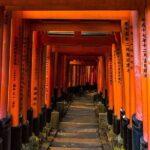 10 Days In-depth Discover Japan Deluxe Tour - The Sum Up