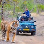 10 Days Rajasthan & Golden Triangle with Tiger Safari Tour - Why This Tour Offers Good Value