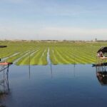 10 Stop Phnom Penh Tour by Tuk-Tuk, includes S21 & Killing Fields - A Deep Dive into the Phnom Penh Experience