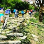 11-Day Hike Tour to Annapurna Base Camp Bliss in Kathmandu - Final Thoughts