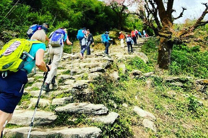 11-Day Hike Tour to Annapurna Base Camp Bliss in Kathmandu - Final Thoughts