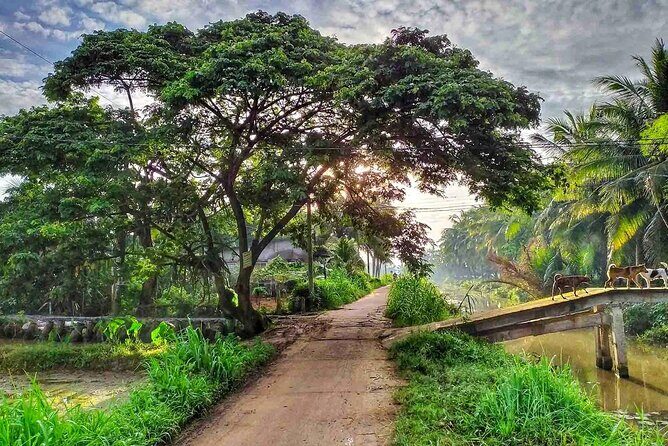 12 Days Private Explore Vietnam Culture & Heritage North to South - Final Thoughts: Who Will Love This Tour?