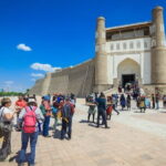 14-Day Uzbekistan Cultural Adventure Tour - Who Should Consider This Tour?