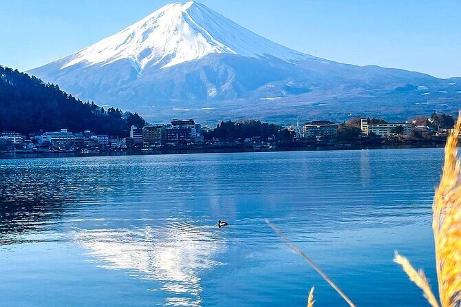 16 Days Japan and China Discovery Private Guide - Transportation and Accommodation