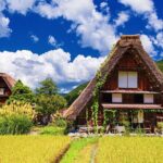 1Day Private Shirakawago and Takayama with Public bus from Nagoya - Authentic Experiences and Traveler Insights