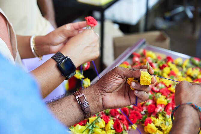 2-4 days in Singapore Guided Tour Pass - Value and Practicality