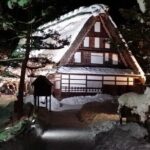 2-Day Bus Tour to Shirakawago & Hida No Sato Winter Illumination - Practical Insights and Value