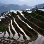 2 Day Guilin Highlights Li River Cruise and Longji Terraces Tour - In-Depth Look at the 2-Day Guilin Highlights Tour