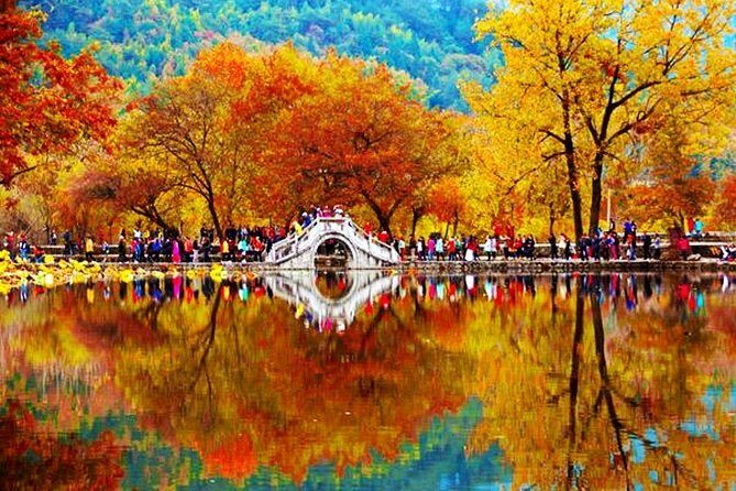 2-Day Huangshan and Hongcun Village Private Tour from Shanghai by Bullet Train - Authentic Experiences and Highlights from Reviews