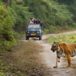 2-Day Jungle Safari: Chennai to Jim Corbett by Air via Delhi - Scenic Drive to Jim Corbett