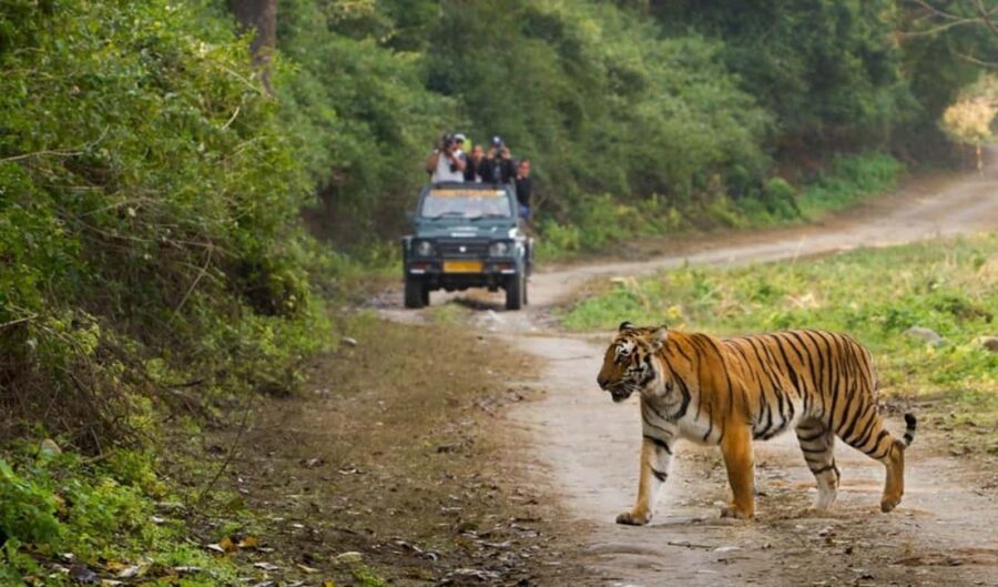 2-Day Jungle Safari: Chennai to Jim Corbett by Air via Delhi - Scenic Drive to Jim Corbett