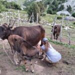 2-Day Kichi Alay Mountain Hiking Tour with Overnight Stay - FAQs