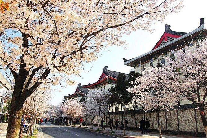 2-Day Nanjing Private Flexible Customized Tour with Lunch Option - Frequently Asked Questions
