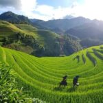 2 Day Sapa Trekking Tour - The Full Experience: What You Can Expect