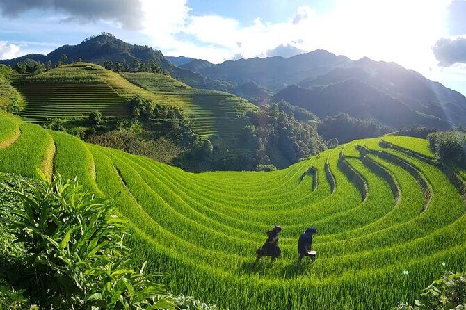 2 Day Sapa Trekking Tour - The Full Experience: What You Can Expect