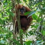 2 Days 1 Night Ethical Jungle Trekking - Authentic Encounters and Guide Expertise