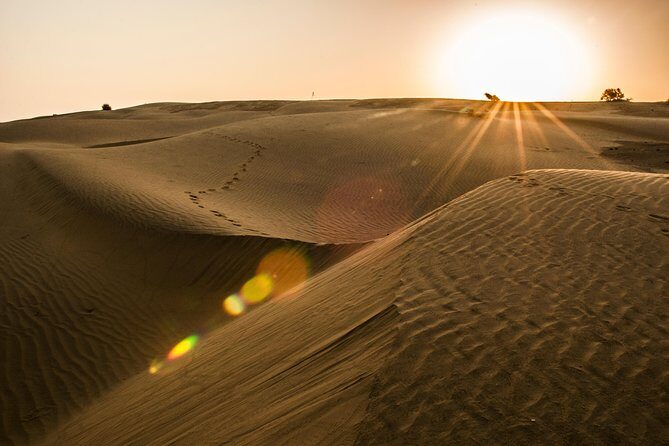 2 Days and 1 Night Camel Safari - The Real Value of This Safari