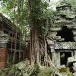 2 Days Angkor temples with Sunrise & Sunset - What Makes This Tour Stand Out?