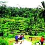 2 Days Best of Bali Famous Tour Packages - The Practical Side: What to Expect and Tips