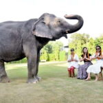 2 Days complete Jaipur tour with elephant safari with guide. - Who Is This Tour Best For?