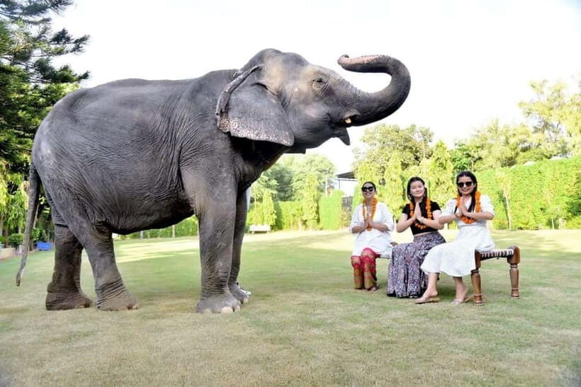 2 Days complete Jaipur tour with elephant safari with guide. - Who Is This Tour Best For?