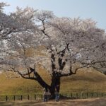 2 Days Gyeongju Private Tour from Seoul and Near Seoul - The Practical Side: Transportation, Duration, and Value