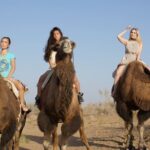 2 Days of Tour in Yurt Camp and Aydarkul - In-Depth Review of the Tour Experience