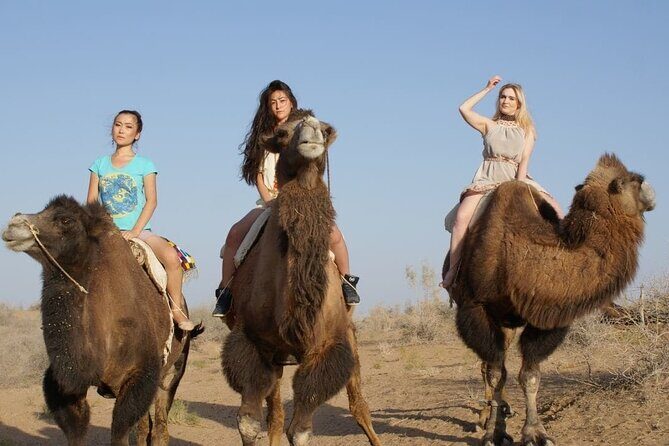 2 Days of Tour in Yurt Camp and Aydarkul - In-Depth Review of the Tour Experience