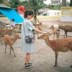 2 Days Private Tour in Kyoto and Nara with a Local Guide With Car - Frequently Asked Questions