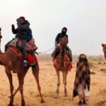 2 Days Sharing Group Non Touristic Camel & Desert Safari - What’s Included and What’s Not