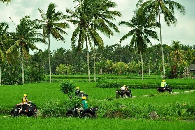 2 hour Bali ATV Ride Ubud waterfall jungle and rice fild track - The Sum Up