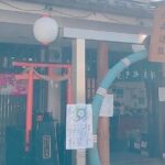 2 Hour Private Tokyo Downtown Kameido Good Fortune Tour - The Experience: What Makes It Special