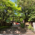 2 Hour Private Tour of Arashiyama Highlights - Final Thoughts: Is This Tour Worth It?