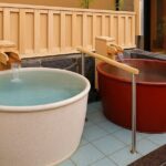 2 Hours Hiroshima Hot Spring Tour - What Makes This Onsen Special?