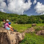 2 Hours Phuket Ethical Elephant Nature Park Visit - Final Thoughts on Value and Authenticity