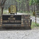 2 Nights Stay at Dhikala Zone in Jim Corbett National Park - Final Thoughts: Who Would Love This Tour?