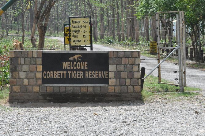 2 Nights Stay at Dhikala Zone in Jim Corbett National Park - Final Thoughts: Who Would Love This Tour?