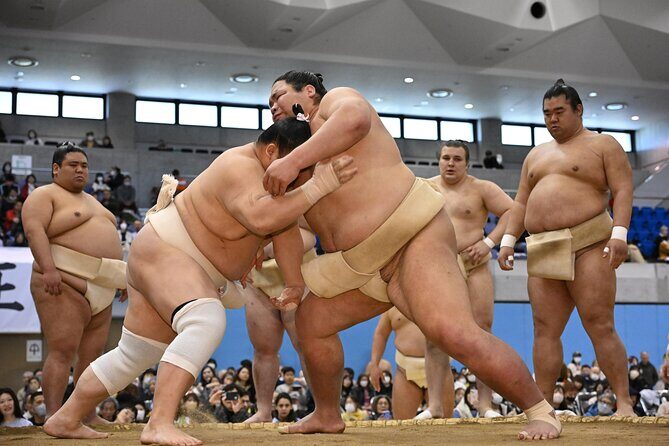 2025 1 Day Winter Sumo Official Provincial Tour at Odawara - An In-Depth Look at the Odawara Sumo Provincial Tour