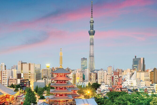 2Days Mt Fuji trip hiking transfer customizable - Who Is This Tour Best For?