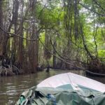 2h Bentota River Safari from Hotels in Ahungalla/Bentota/Induruwa - Final Thoughts: Is It Worth It?