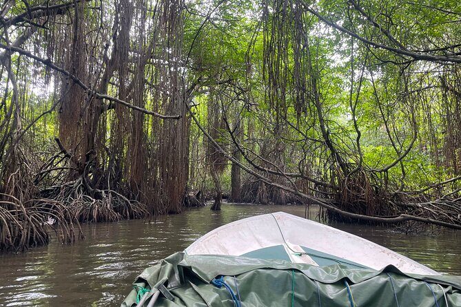 2h Bentota River Safari from Hotels in Ahungalla/Bentota/Induruwa - Final Thoughts: Is It Worth It?