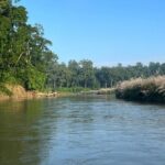 2Night 3Day Chitwan Jungle Tower Night Stay and CNP Nepal Safari - Who Should Consider This Tour?