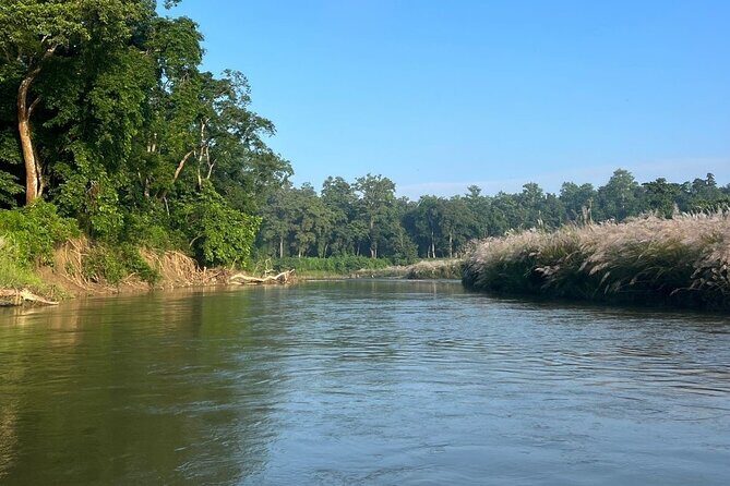 2Night 3Day Chitwan Jungle Tower Night Stay and CNP Nepal Safari - Who Should Consider This Tour?