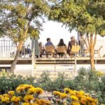 3-Day 2-Nignt Wine Taste Through China's Wine Region of Ningxia - What Makes This Tour Stand Out