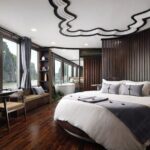 3-Day Halong Orchid Cruises - An In-Depth Look at the 3-Day Orchid Cruises Experience