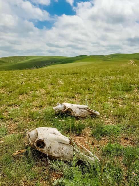 3 day Khar khorum budget tour Central Mongolia - Discovering Central Mongolia: A Deep Dive into the 3-Day Experience