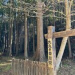 3 Day Kumano Kodo Pilgrimage Route Walking Tour from Osaka - Frequently Asked Questions