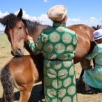 3 Day Nomadic Real Life Experience - Final Thoughts: Who Will Love This Tour?