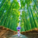 3 Day Private Osaka Kyoto and Nara Tour - The Experience of a Private, Tailored Tour